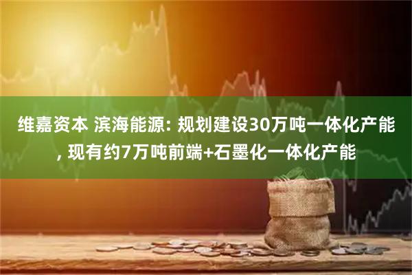 维嘉资本 滨海能源: 规划建设30万吨一体化产能, 现有约7万吨前端+石墨化一体化产能