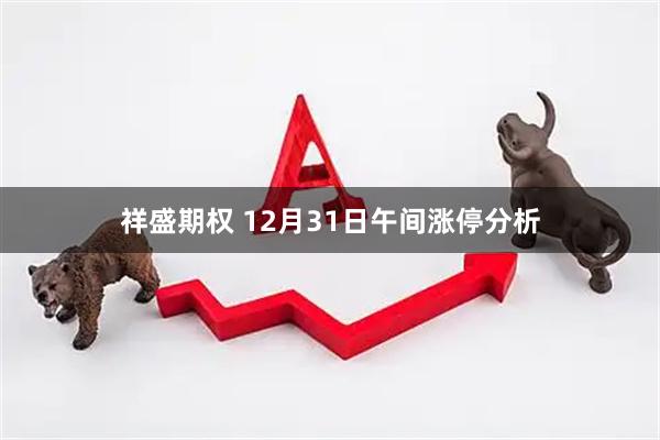 祥盛期权 12月31日午间涨停分析