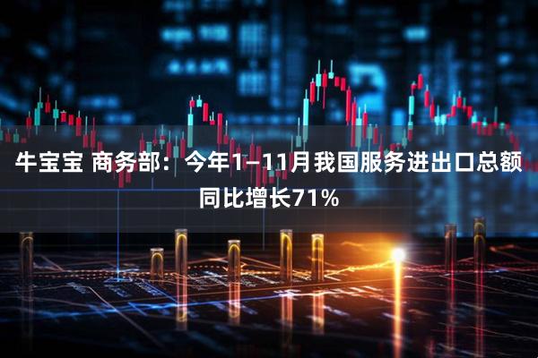 牛宝宝 商务部：今年1—11月我国服务进出口总额同比增长71%
