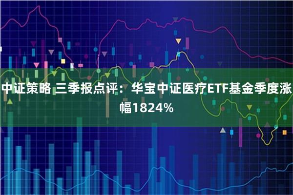中证策略 三季报点评：华宝中证医疗ETF基金季度涨幅1824%